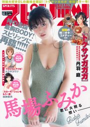 [주간빅만화정령] ふみか 2017 No.09 포토 매거진