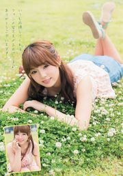 Shinozaki Ai [Young Animal] 2013 No.17 Photo Magazine