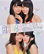 Bruine honing Tanizawa Erika Asuka キララ [Special Issue Young Animal Arashi] No.09 2013 Photo Magazine